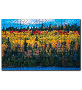 Cakapuzzle Sonbaharın Tüm Renkleri  Puzzle Yapboz MDF (Ahşap) (500 Parça)