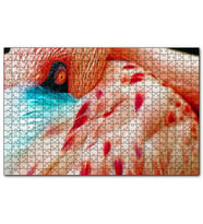 Cakapuzzle Flamingo Yakın Çekim  Puzzle Yapboz MDF (Ahşap) (500 Parça)