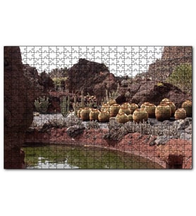 Cakapuzzle Yuvarlak Kaktüsler ve Kayalar  Puzzle Yapboz MDF (Ahşap) (255 Parça)