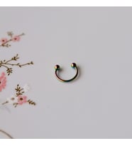 Hologram Renk Cerrahi Çelik Toplu Piercing 10 mm Helix Lob Conch Daith (Gümüş)