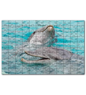 Cakapuzzle Sevimli Yunuslar Suda Oynuyor Puzzle Yapboz MDF (Ahşap) (500 Parça)
