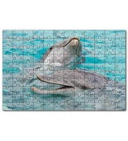 Cakapuzzle Sevimli Yunuslar Suda Oynuyor Puzzle Yapboz MDF (Ahşap) (500 Parça)