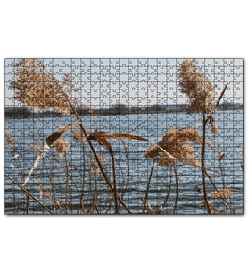 Cakapuzzle Göl Kıyısında Sazlar  Puzzle Yapboz MDF (Ahşap) (500 Parça)