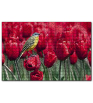 Cakapuzzle Kırmızı Gelincikler Üzerindeki Sarı Kuş  Puzzle Yapboz MDF (Ahşap) (500 Parça)