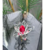 Elara Dekoratif Ayaklı Lotus (Kırmızı)