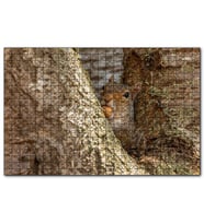 Cakapuzzle Ağacın Dalları Arasındaki Sincap  Puzzle Yapboz MDF (Ahşap) (500 Parça)