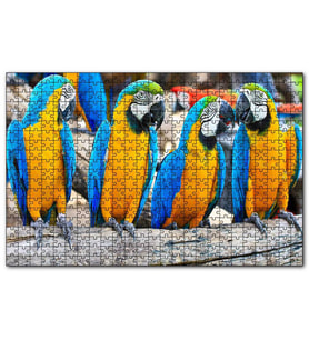 Cakapuzzle Daldaki Sarı Mavi Macaw Papağanları  Puzzle Yapboz MDF (Ahşap) (255 Parça)