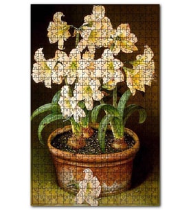 Cakapuzzle Saksıda Soğanlı Çiçekler Resmi Puzzle Yapboz MDF (Ahşap) (500 Parça)