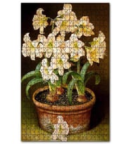 Cakapuzzle Saksıda Soğanlı Çiçekler Resmi Puzzle Yapboz MDF (Ahşap) (500 Parça)