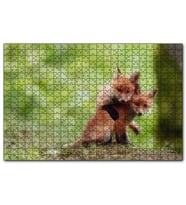 Cakapuzzle Çayırda Birbiriyle Oynayan Yavru Tilkiler  Puzzle Yapboz MDF (Ahşap) (1000 Parça)