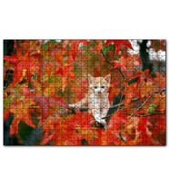 Cakapuzzle Sonbaharda Çınar Yaprakları Arasındaki Yavru Kedi  Puzzle Yapboz MDF (Ahşap) (1000 Parça)
