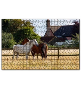 Cakapuzzle Kahverengi ve Beyaz Atlar  Puzzle Yapboz MDF (Ahşap) (1000 Parça)