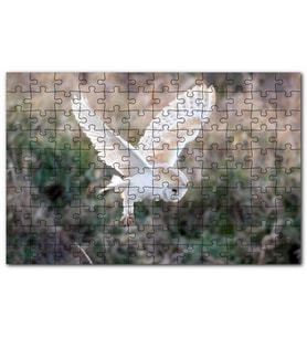 Cakapuzzle Çayırda Konmaya Hazırlanan Beyaz Baykuş Puzzle Yapboz MDF (Ahşap) (255 Parça)