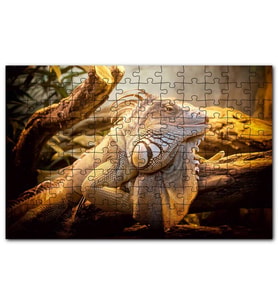 Cakapuzzle Kütükler Arasındaki Efsanevi Kertenkele Puzzle Yapboz MDF (Ahşap) (255 Parça)