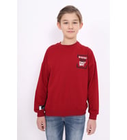 Toontoy Erkek Çocuk Baskılı Sweatshirt (Bordo)