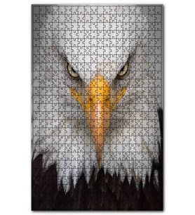 Cakapuzzle Akbaşlı Amerikan Kartalı Ön Görünüş Puzzle Yapboz MDF (Ahşap) (255 Parça)