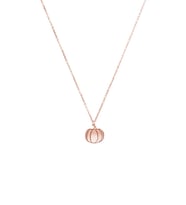 Kişiye Özel 925 Ayar Gümüş Bal Kabağı Kolye (Rose)