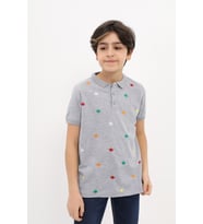 Toontoy Erkek Çocuk Nakışlı Tişört ( Gri-Melanj)