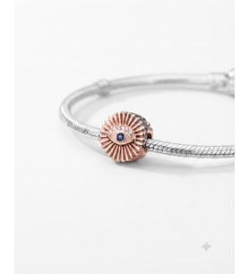Kadın Taş Detay Kirpikli Göz Model Gümüş Charm (Rose)