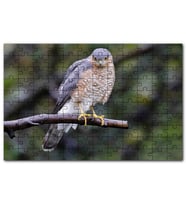 Cakapuzzle Dalda Etrafı Kolaçan Eden Doğan Puzzle Yapboz MDF (Ahşap) (255 Parça)