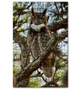 Cakapuzzle Dallar Arasındaki Baykuş Puzzle Yapboz MDF (Ahşap) (255 Parça)