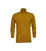 Erkek Spor Düz Balıkçı Yaka Kazak R21010 BGL-ST03179 (Hardal)