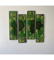 Gerçek Yosun Ahşap Çerçeveli Tablo Yosun Duvar Sanatı  Yosun Duvar Dekoru  Korunmuş Yosun Sanatı Çerçeveli  Yosun Duvar Setleri  20 x 45cm (Siyah)