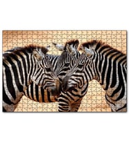 Cakapuzzle Savanada Üç Kafadar Zebra Yakın Plan  Puzzle Yapboz MDF (Ahşap) (500 Parça)