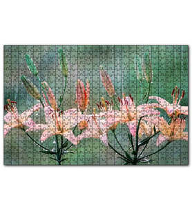 Cakapuzzle Yağmur Ve Zambak Yaprakları  Puzzle Yapboz MDF (Ahşap) (1000 Parça)