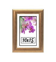 10X15 CM Fotoğraf Çerçevesi Siyah Modern Ofis Sanat Ev Home Ofis Dekoratif Çerçeveler Ev Oturma Odası Salon Dekorasyon Resim Çerçeveleri Diploma Belge Sertifika Çerçeveleri (Altın)