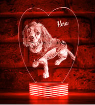 Evcil Hayvan Kedi Köpek Sahiplerine Hediye Kişiye Özel 3D Lamba (Kırmızı)