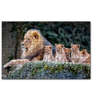 Cakapuzzle Kayanın Üzerinde Erkek Aslan ve Sevimli Yavruları  Puzzle Yapboz MDF (Ahşap) (500 Parça)