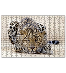 Cakapuzzle Kumların Üzerinde Pusudaki Leopar  Puzzle Yapboz MDF (Ahşap) (1000 Parça)