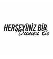 Her Şeyiniz Dümen be Araba Sticker siyah 16x6 CM (Siyah)