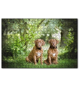 Cakapuzzle Yeşil Ağaçlar Arasındaki Kahverengi Boxerlar  Puzzle Yapboz MDF (Ahşap) (1000 Parça)