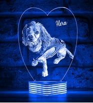 Evcil Hayvan Kedi Köpek Sahiplerine Hediye Kişiye Özel 3D Lamba (Mavi)