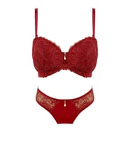 Le Jardin 5155-B Desteksiz-Balenli Silikon Nicolina Sütyen Takımı (Bordo)