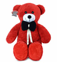 Pandamkee 80 Cm Sevgiliye Özel Hediyelik Ayı (Kırmızı)