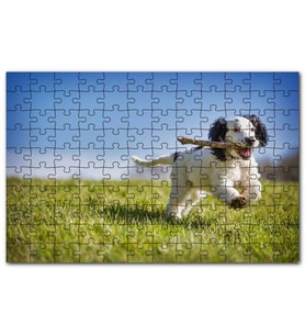 Cakapuzzle Çayırda Oyun Oynayan Sevimli Köpek Puzzle Yapboz MDF (Ahşap) (255 Parça)