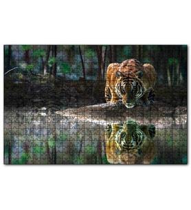 Cakapuzzle Göldeki Kaplan Yansıması Görseli  Puzzle Yapboz MDF (Ahşap) (500 Parça)