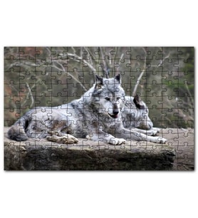 Cakapuzzle Kayalık Üzerinde Dinlenen Gri Kurt Çifti Puzzle Yapboz MDF (Ahşap) (255 Parça)