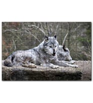 Cakapuzzle Kayalık Üzerinde Dinlenen Gri Kurt Çifti Puzzle Yapboz MDF (Ahşap) (255 Parça)