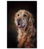 Cakapuzzle Güzel Golden Retriever Köpek Resimleri Puzzle Yapboz MDF (Ahşap) (255 Parça)