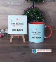 Fen Bilimleri Öğretmeni Dekoratif Taş, Kupa Bardak Kırmızı Hediye (Model 12)