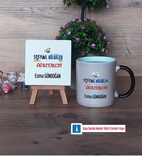 Sosyal Bilgiler Öğretmeni Dekoratif Taş, Kupa Bardak Kırmızı Hediye Öğretmenler Günü Hediyesi (Model 8)