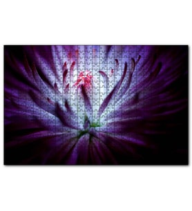 Cakapuzzle Mor Papatya Makro Çekim  Puzzle Yapboz MDF (Ahşap) (255 Parça)