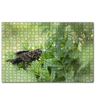 Cakapuzzle Yeşillikler İçinde Sığırcık Kuşu Görseli  Puzzle Yapboz MDF (Ahşap) (255 Parça)