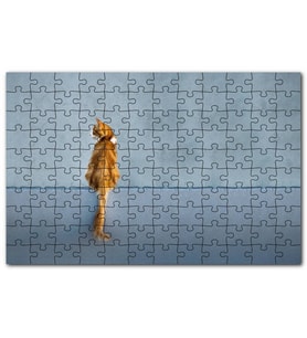 Cakapuzzle Mavi Duvar Önündeki Sarı Kedi Puzzle Yapboz MDF (Ahşap) (1000 Parça)