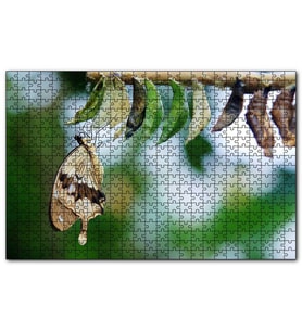 Cakapuzzle Kelebek Kozası Ve Renkli Kelebek Görseli  Puzzle Yapboz MDF (Ahşap) (255 Parça)