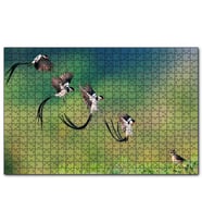 Cakapuzzle Zaman Atlamalı Fotoğrafçılık Kuş Görseli  Puzzle Yapboz MDF (Ahşap) (1000 Parça)